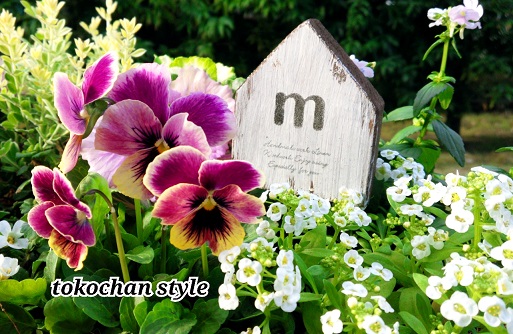 2014-11-14-09-01-51_deco.jpg