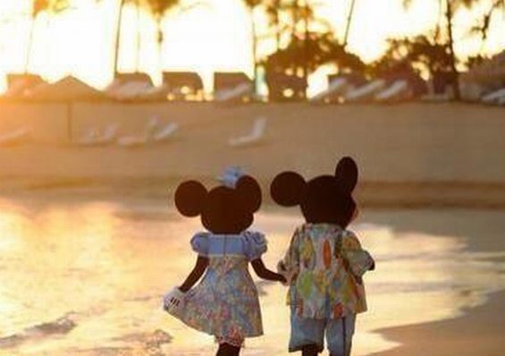 画像はイメージです