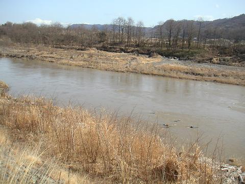 2012.03.06 022.jpg