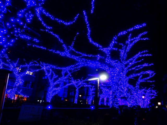 DSC08908_R.JPG