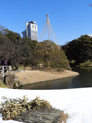 小石川後楽園にて