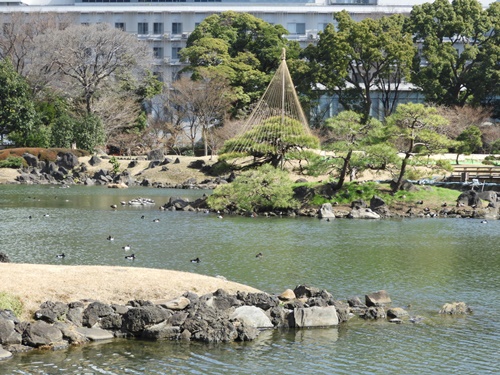 旧芝離宮恩賜庭園にて