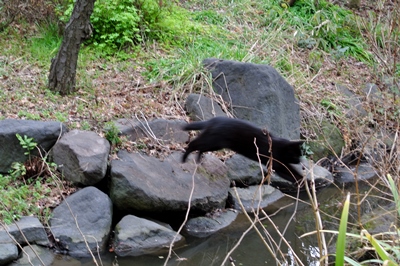 SC_8514.jpg