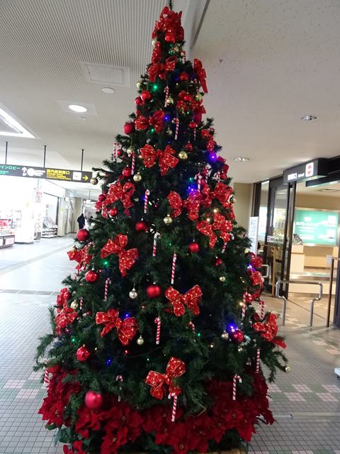 DSC09527_R.JPG