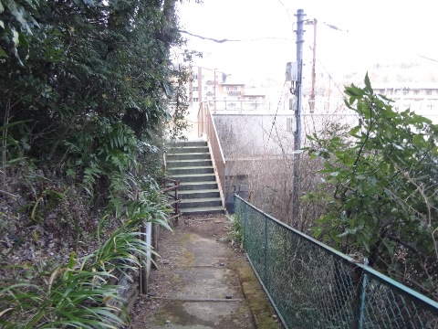 DSC03582.JPG