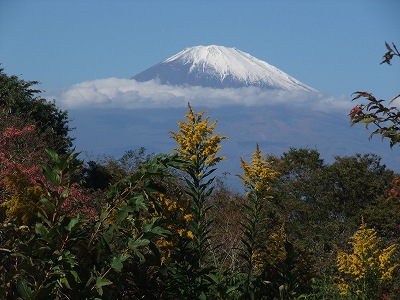 20121026万葉公園から富士山