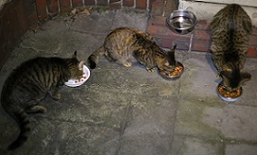 5DA_9098-10.jpg