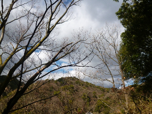 P1140906(1).JPG