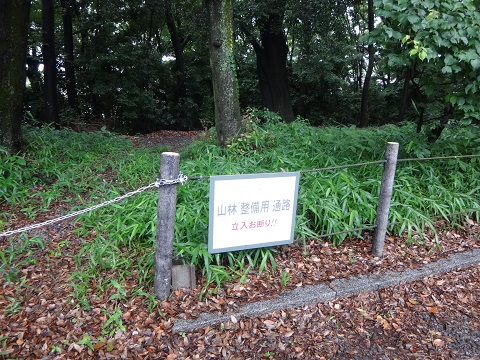 DSC09100.JPG