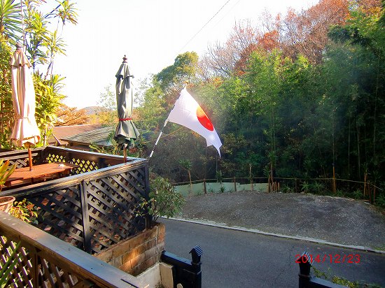 天皇誕生日 020.jpg