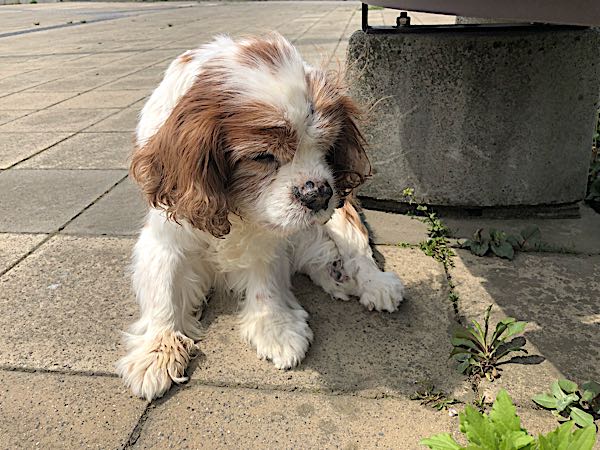 rblog-20180423141141-09.jpg