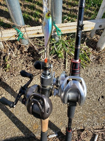 rblog-20190103131315-02.jpg