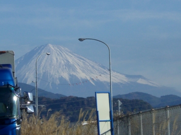 2013_1214水仙・富士山0002.JPG