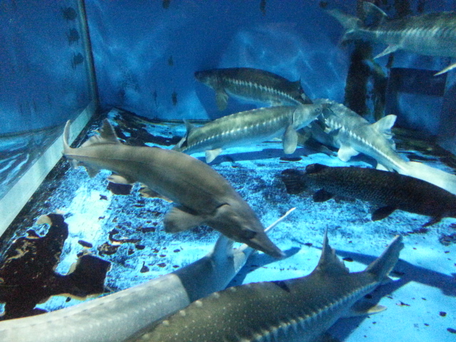 20130504_144346.jpg