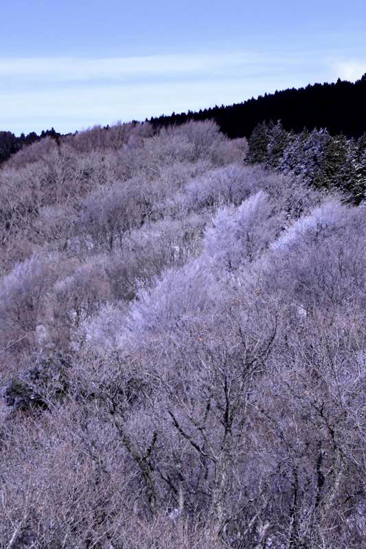 金剛山_2-3.jpg