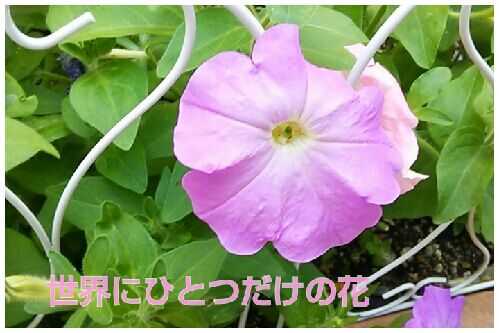 rblog-20160627064344-00.jpg