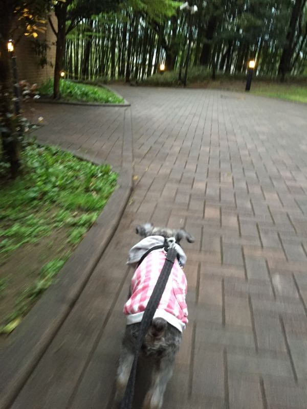rblog-20160408014709-01.jpg