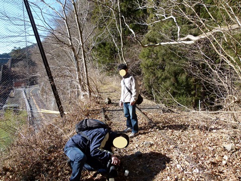P1130817.JPG