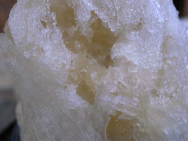RIMG15520.JPG