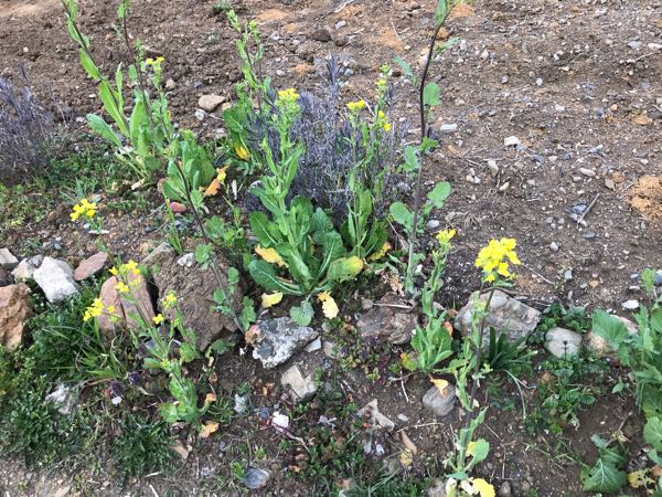 rblog-20190320171306-04.jpg