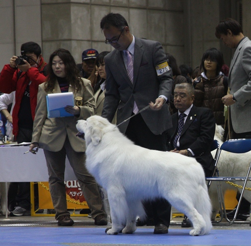 2012-12-23　FCI東京インターGP.JPG