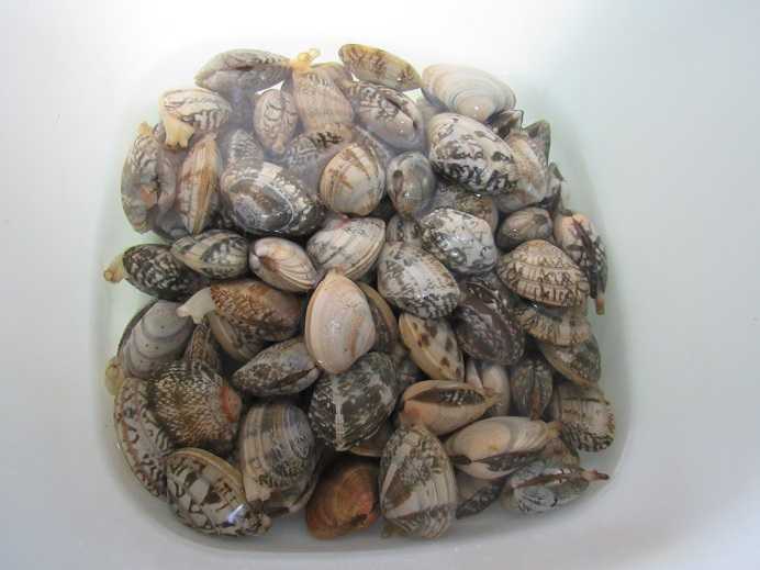 鉄線花 歳時記の俳句 アサリ貝 老いてこそ勉強 楽天ブログ