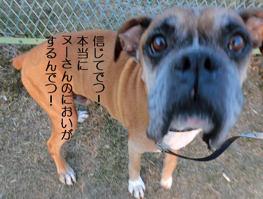 信じて