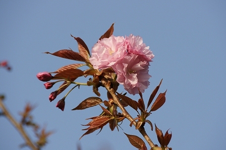 DSC06586.jpg