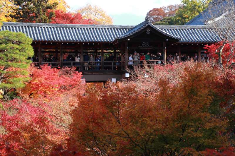 東福寺_011.jpg