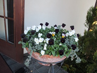 IMG_2984ss.jpg