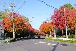 平和公園