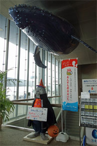 九州714.jpg