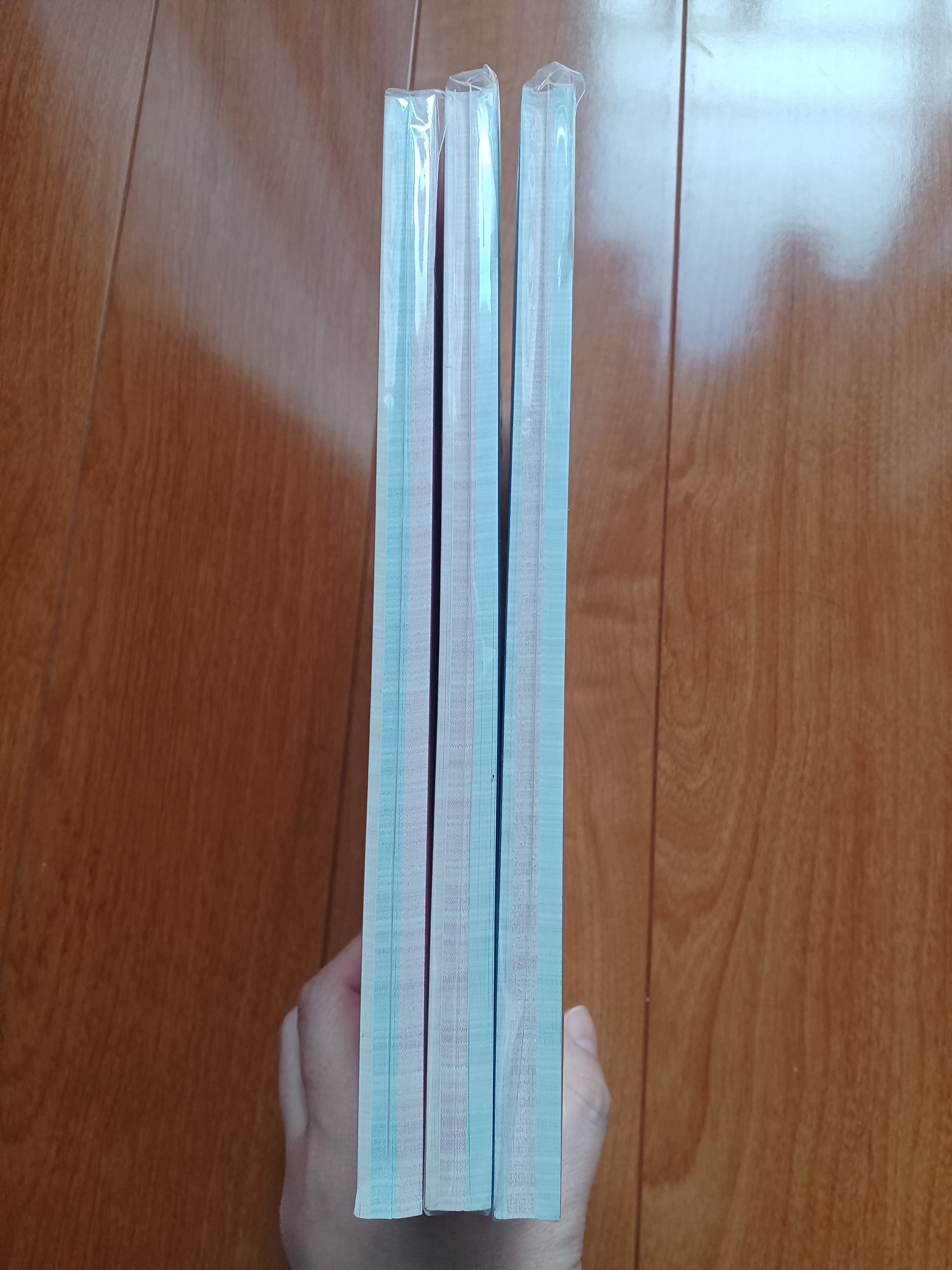 kamimonoshopさんで黒いたぬきさんのステッカーまとめ売りを買いました
