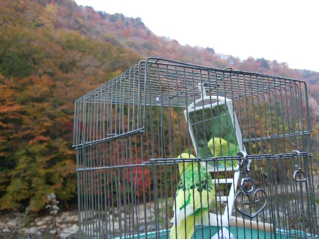 DSCF7880.jpg