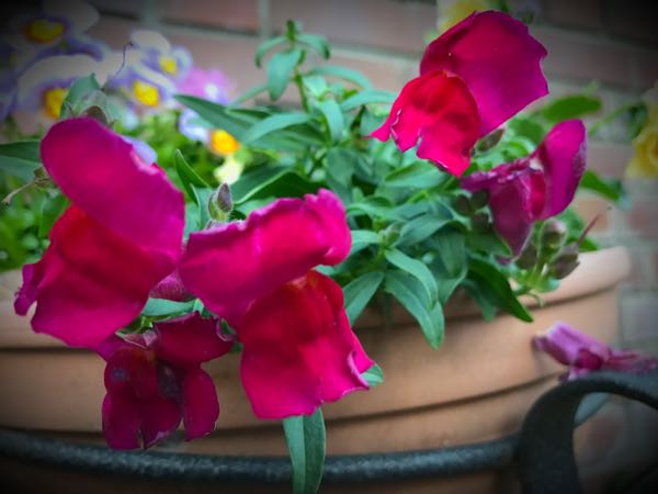 rblog-20161128164756-03.jpg