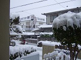 s-140214こんな雪は、はじめて (6).jpg