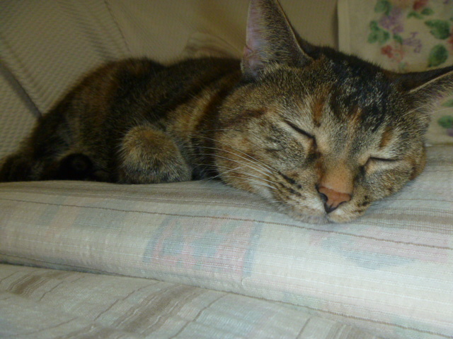 P1010150.JPG