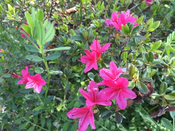 rblog-20180505160632-03.jpg