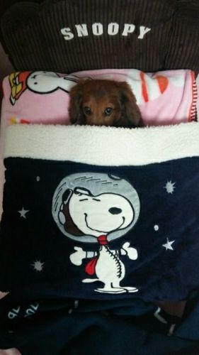 rblog-20180305135423-00.jpg