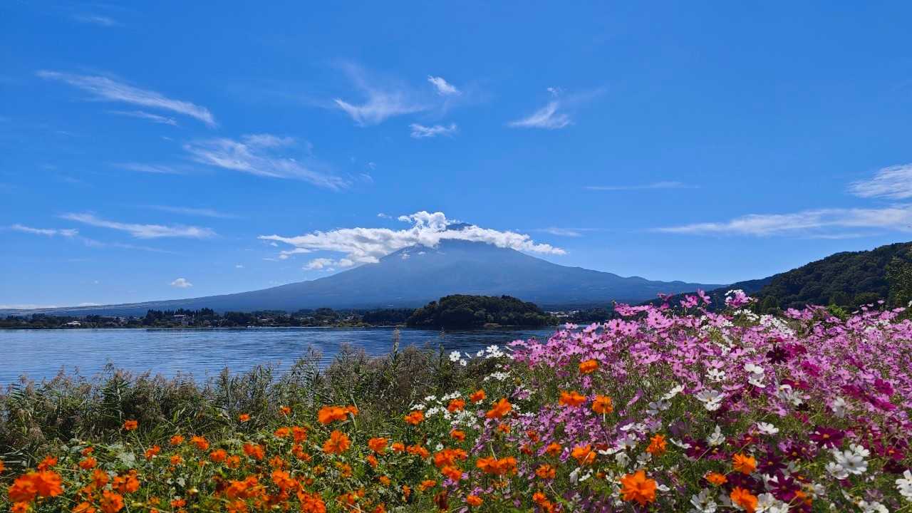 moooi妊活記録と色々