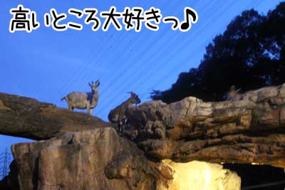 夜１０.JPG