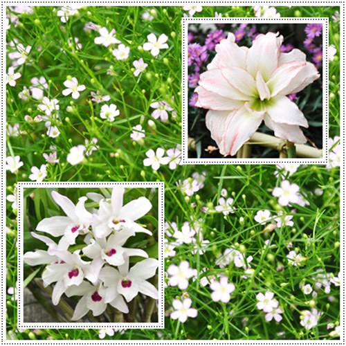 お花２枚