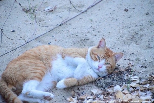 別れた後の男性の気持ちは？