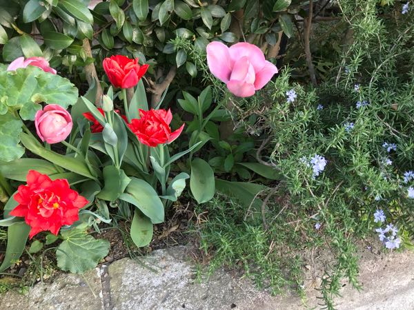 rblog-20180408180927-06.jpg