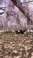 rblog-20140425163103-01.png