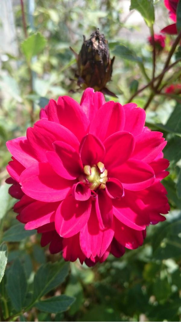 rblog-20170906135147-02.jpg