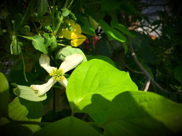 rblog-20160430181329-02.jpg