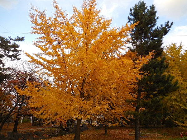 DSCN5892.jpg
