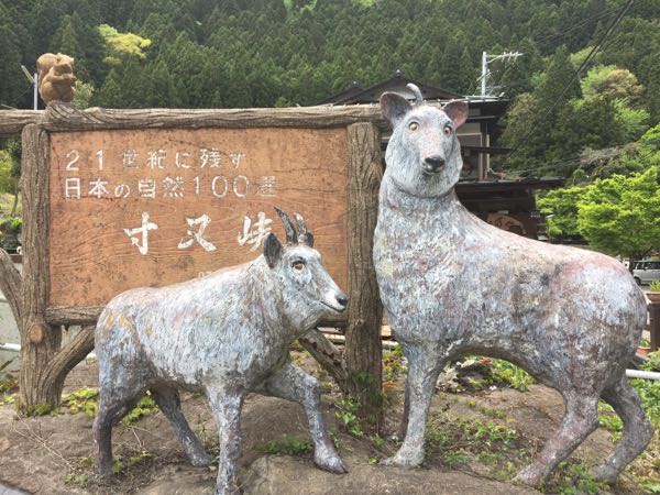 rblog-20170508204623-01.jpg