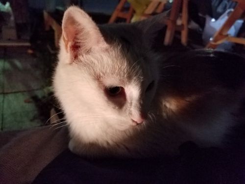 rblog-20180918154541-01.jpg